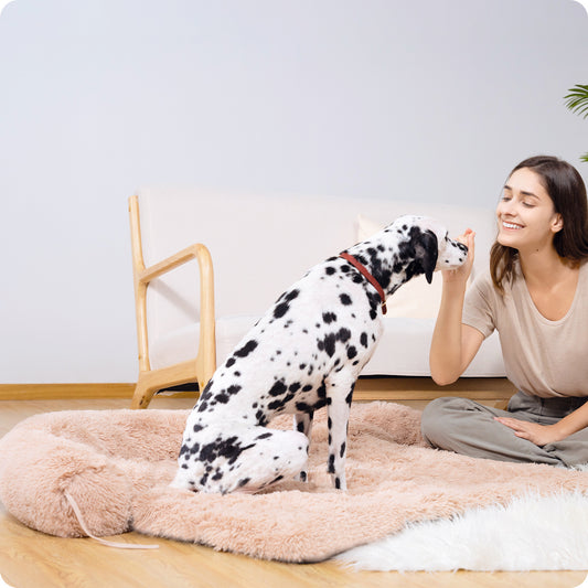 Dog Bed Large Sized Dog, Fluffy Dog Bed Couch Cover, Calming Large Dog Bed, Washable Dog Mat for Furniture Protector,Perfect for Large Dogs and Cats ，Beige(Banned shein,unable to ship on weekends)